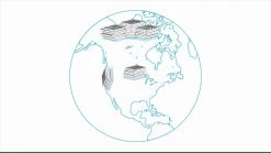 AirThreds 20x25x1 Extra Replacement Filter Without Frame 21 AirThreds 20x25x1 Extra Replacement Filter Without Frame -Air Filter Sales 41a6kg6WhcL